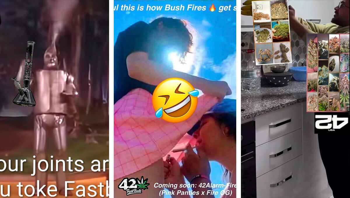 Die Gewinner des Meme-Wettbewerbs im August stehen fest