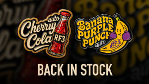 ¡Las tan esperadas variedades RF3 ya están de vuelta en stock!