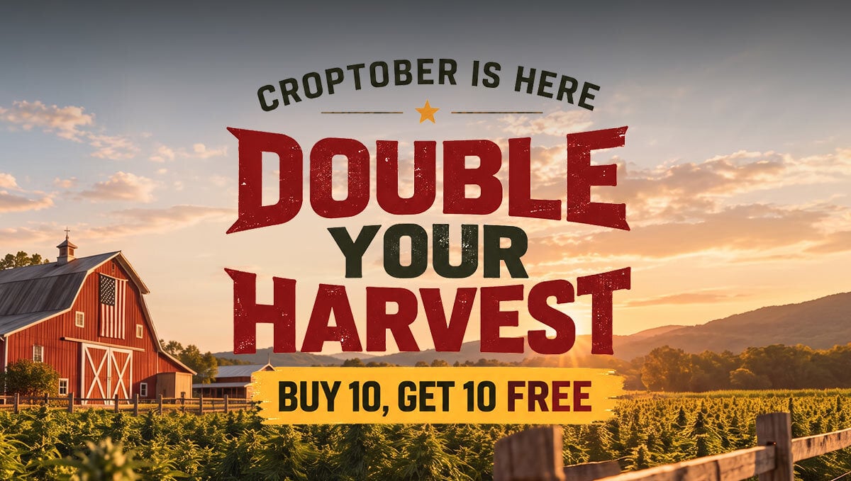 Croptober läuft weiter: Verdopple deine Ernte!