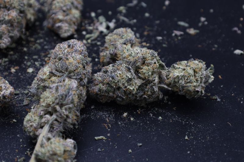 Instagram Mango Frost Auto