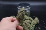 Instagram Pineapple OG Auto™