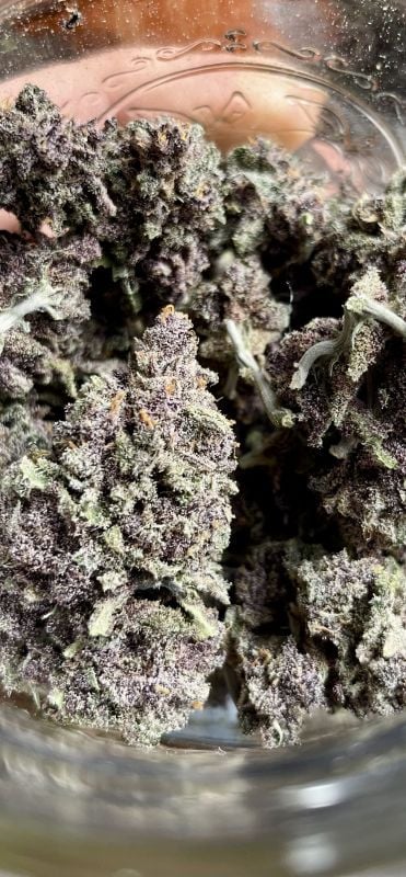 Instagram Purple Haze Auto