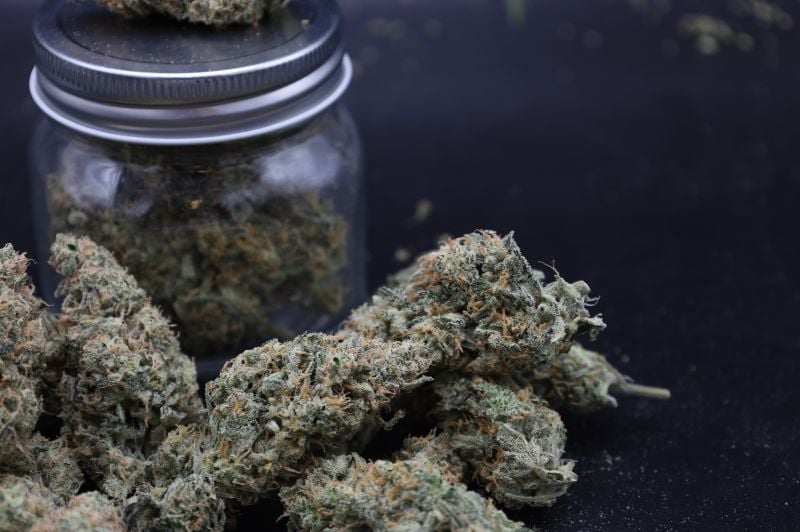 Instagram Garlic Mint Sherbet Auto