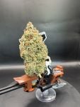 Instagram Lemon Cherry Sundae Auto™
