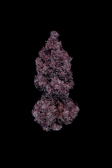 Instagram Purple Lemonade FF