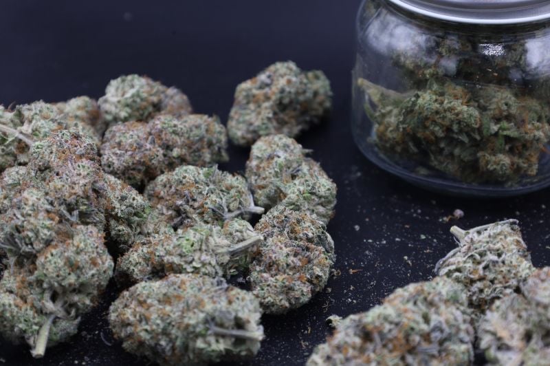 Instagram Sundae Frost Auto