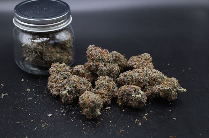 Instagram Mango Cherry Runtz Auto