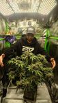 Instagram Cherry Cola Auto RF3™