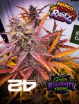 Instagram Mango Cherry Runtz Auto™
