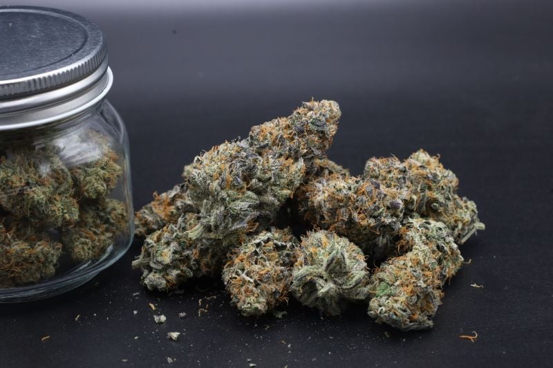 Instagram Guava Runtz Auto