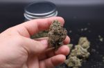 Instagram Lemon Cherry Sundae Auto™