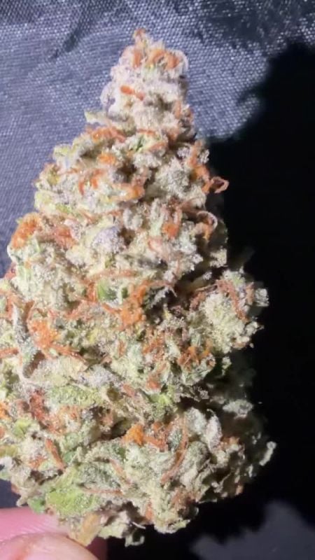 Lemon Cherry Sundae Auto @Bernie. 