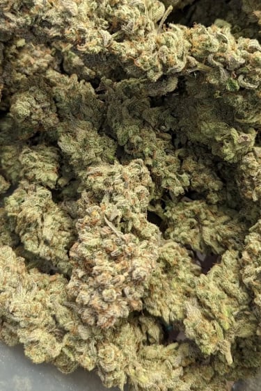 Instagram Chemdawg Auto