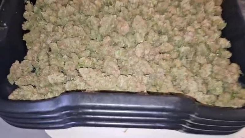 Pound Cake Auto @gitty1625 DIS 2