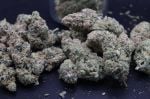 Instagram Pineapple OG Auto™