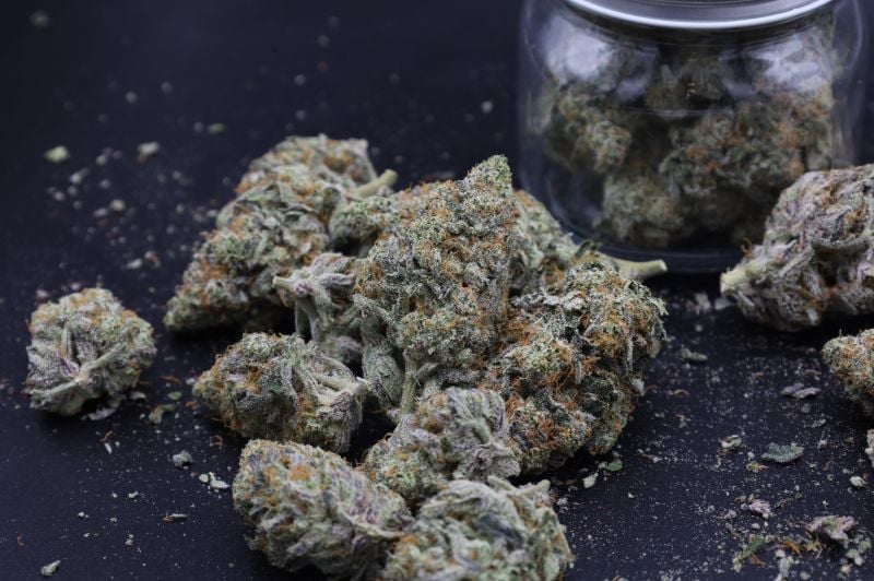 Instagram Mendo Guava Auto