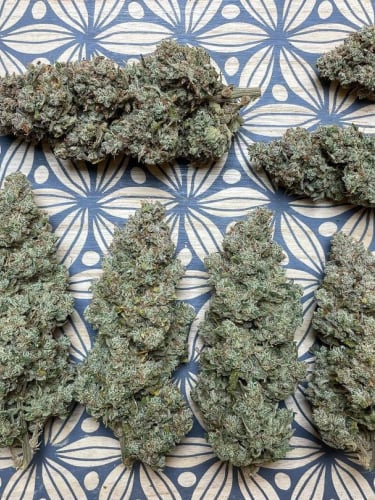 Instagram Mimosa Cake Auto