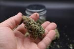 Instagram Pineapple OG Auto™