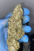 Instagram Gorilla Z Auto