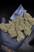 Instagram Cherry Cola Auto