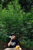 Instagram GG4 Sherbet FF