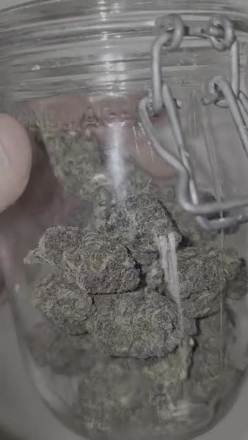 Cherry Cola Auto RF3 @ivoandonov0963 DIS 