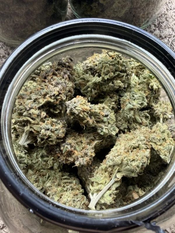 Instagram Banana Cherry Cookies Auto