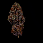 Instagram Gorilla Melon™