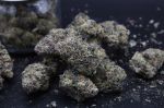 Instagram Mango Frost Auto™