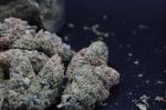 Instagram Pineapple OG Auto™
