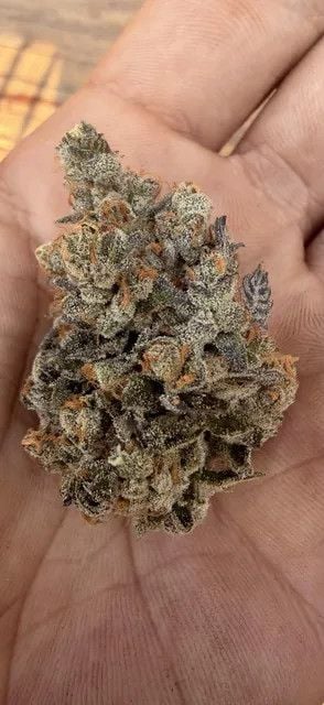 Instagram Garlic Mint Sherbet