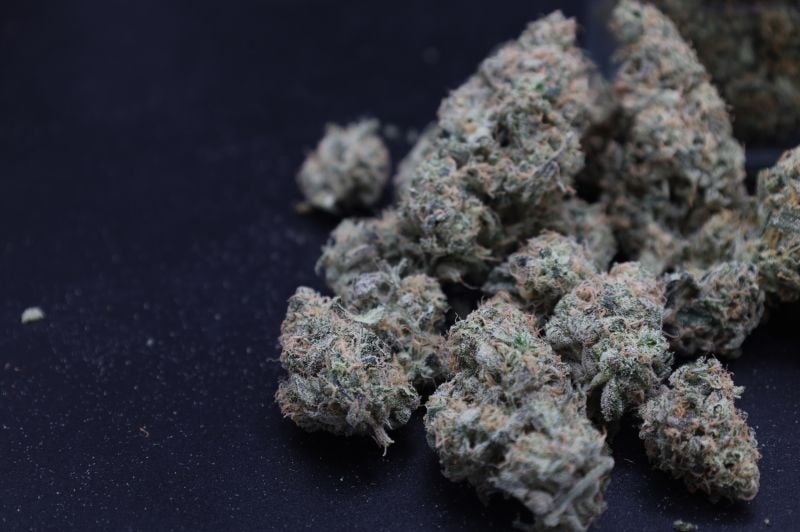 Instagram Garlic Mint Sherbet Auto