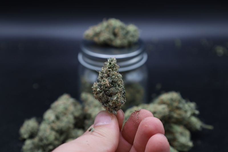 Instagram Garlic Mint Sherbet Auto