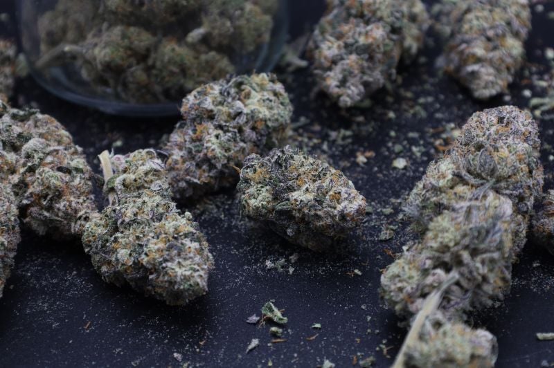 Instagram Mango Frost Auto
