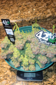 Instagram Pound Cake Auto™