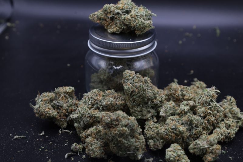 Instagram GMO Auto