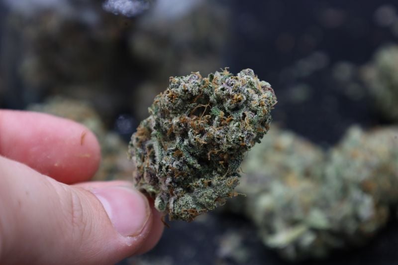 Instagram Mendo Cherry Cookies Auto