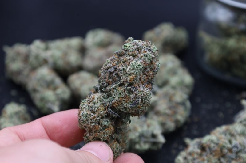 Instagram Sundae Frost Auto