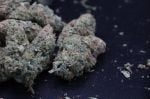 Instagram Pineapple OG Auto™
