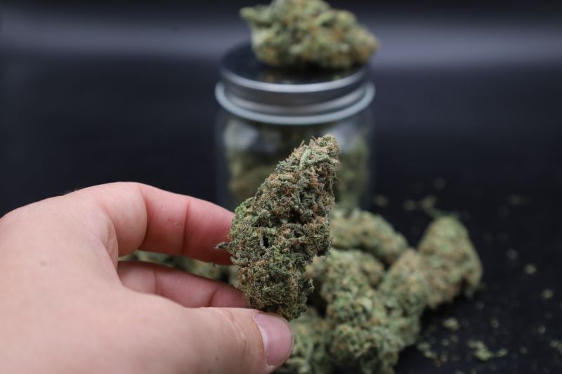 Instagram Pineapple OG Auto