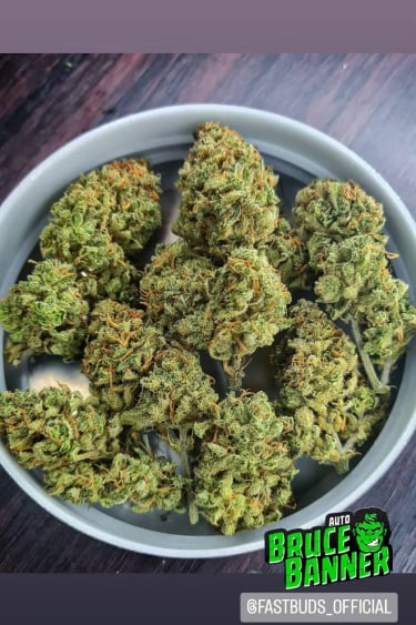 Instagram Bruce Banner Auto