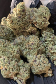 Instagram Cherry Cola Auto