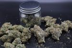 Instagram Mendo Guava Auto™