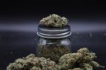 Instagram Garlic Mint Sherbet Auto™