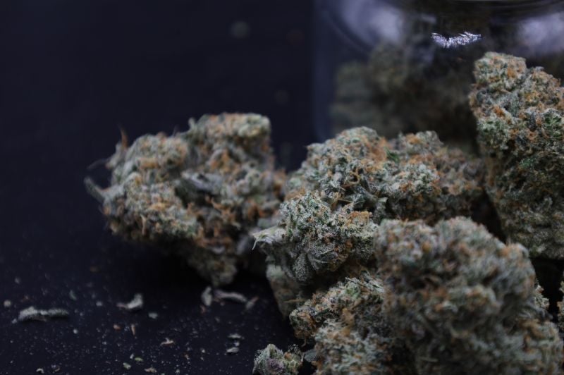 Instagram GMO Auto
