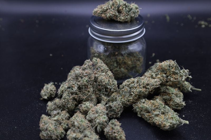 Instagram Garlic Mint Sherbet Auto
