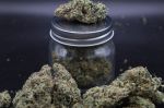 Instagram Garlic Mint Sherbet Auto™