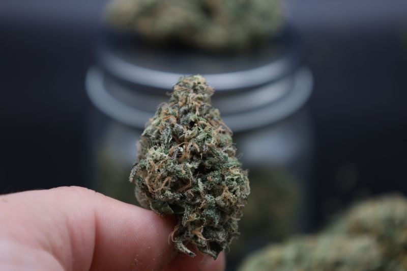Instagram Garlic Mint Sherbet Auto