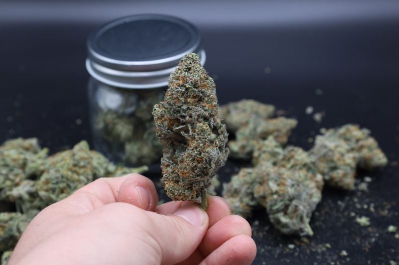Instagram Mendo Guava Auto