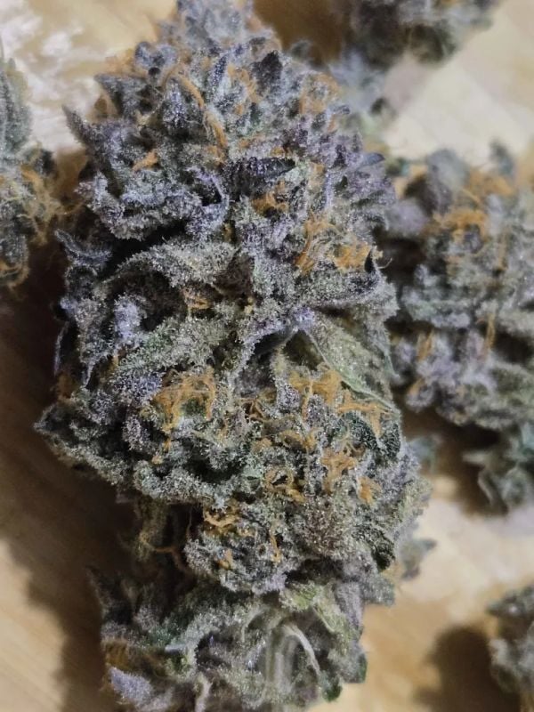 AUTO | Strawberry Gorilla Auto RF3™